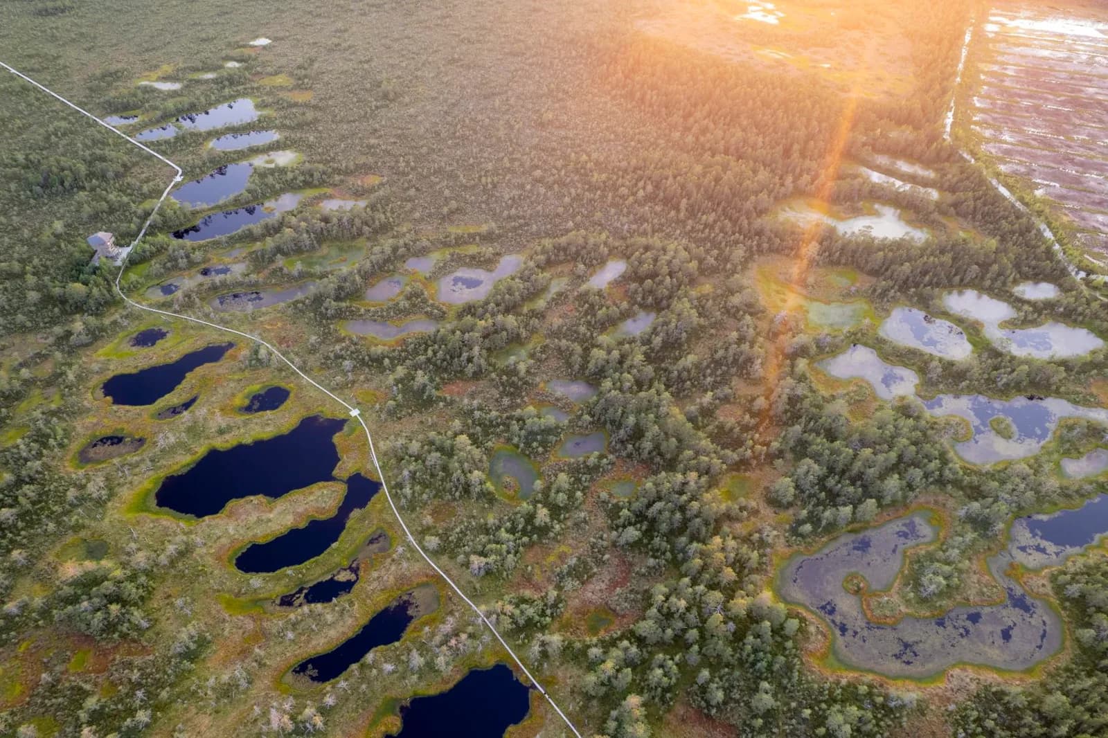 Estonia 2022