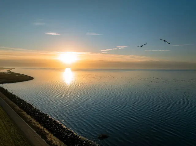 Aerial view of a calm sea at sunrise along a stone sea dike, two birds flying over the water