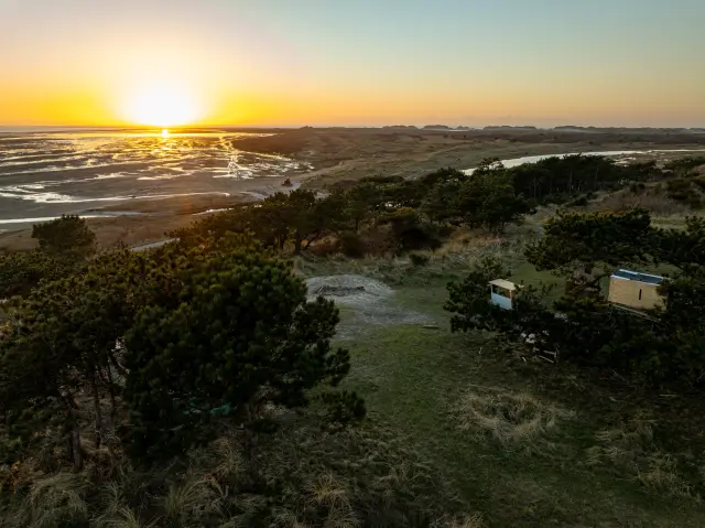Aerial of pine-dotted dunes and tidal flats at sunset, with small cabins among the trees
