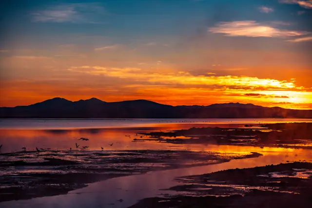 A vivid orange sunset reflecting across a shallow lake with silhouetted mountains and birds in flight.