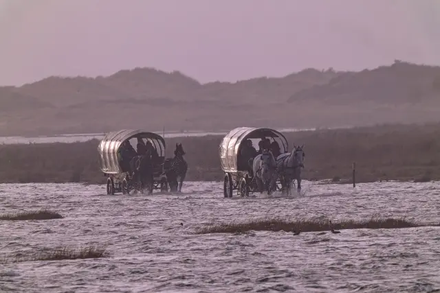 Two covered horse-drawn wagons crossing shallow tidal mudflats at dusk with dunes behind.