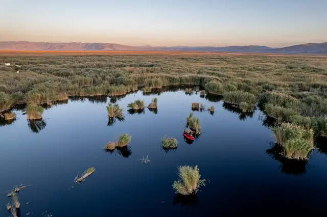 An aerial view of reed marshes and open water.