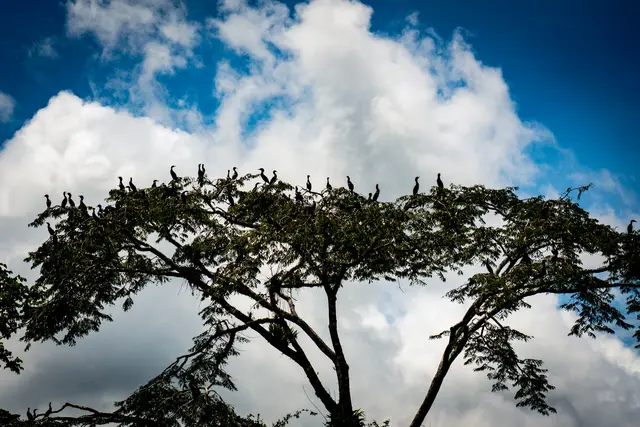 Documentary and visual-storytelling photography by Aquinox Media