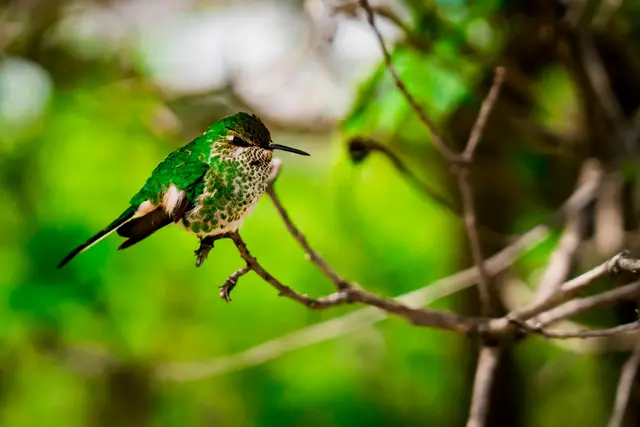 Documentary and visual-storytelling photography by Aquinox Media