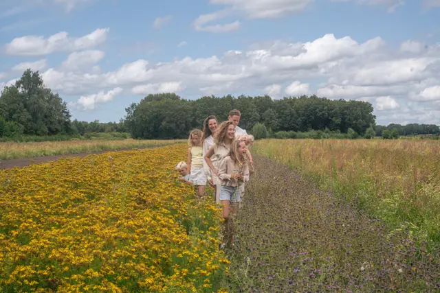 Figures walking through a field of yellow flowers.
